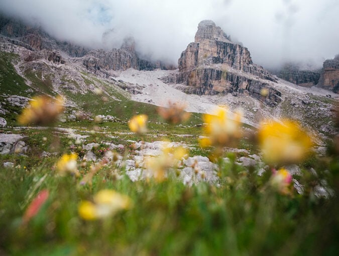 Un parco da record