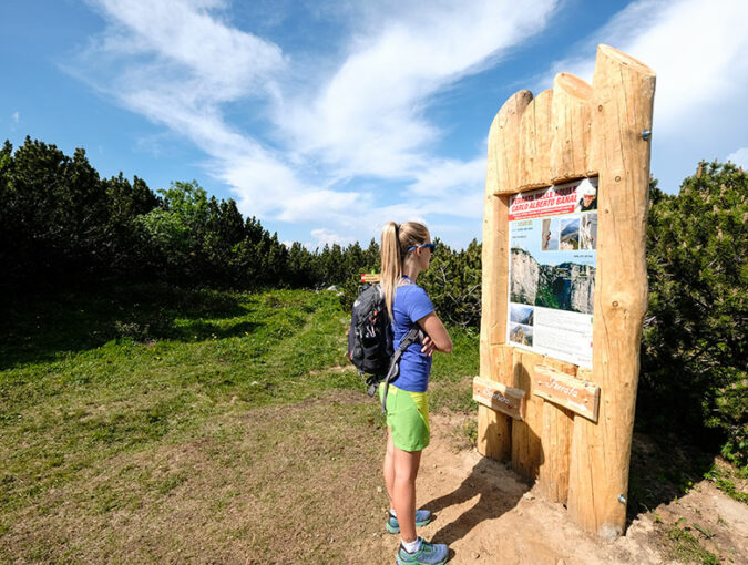 Attività nel parco